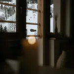 Fraeulein Nannerl - Boutique Mit Saunahaus Герлос